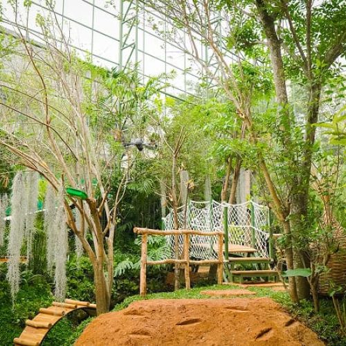 Aviary