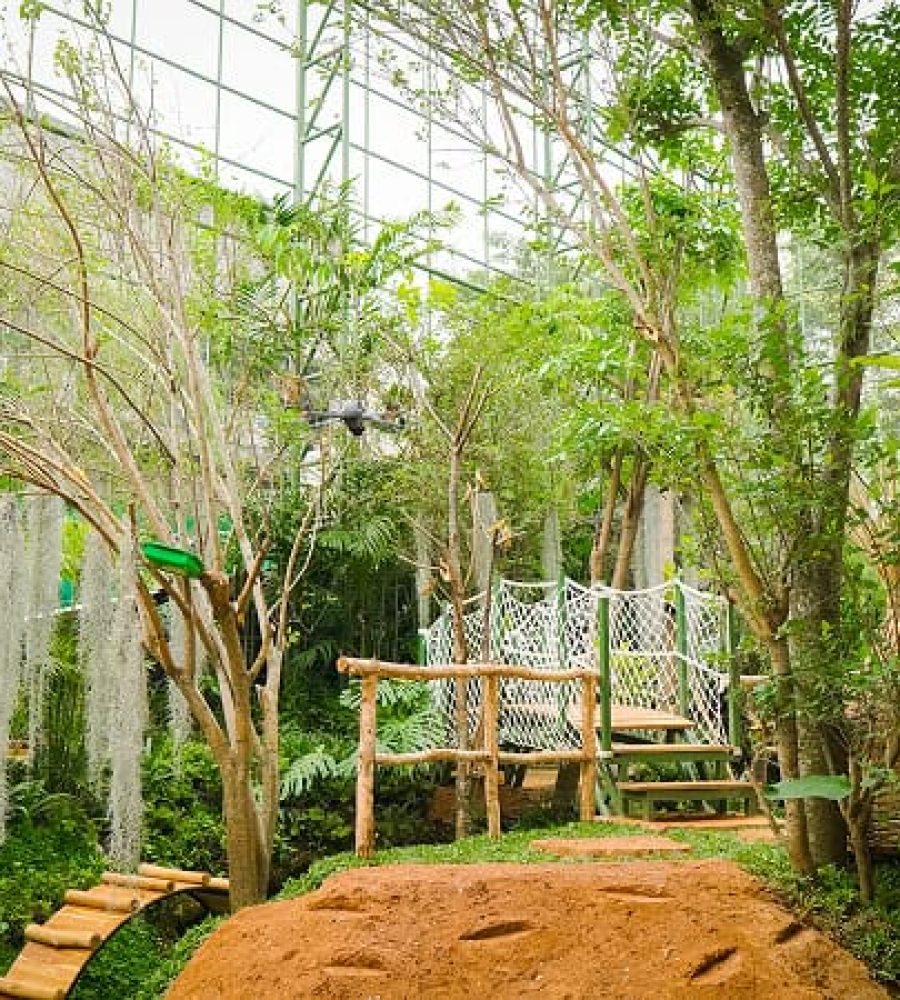 Aviary