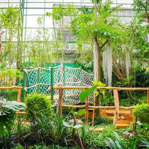 Aviary