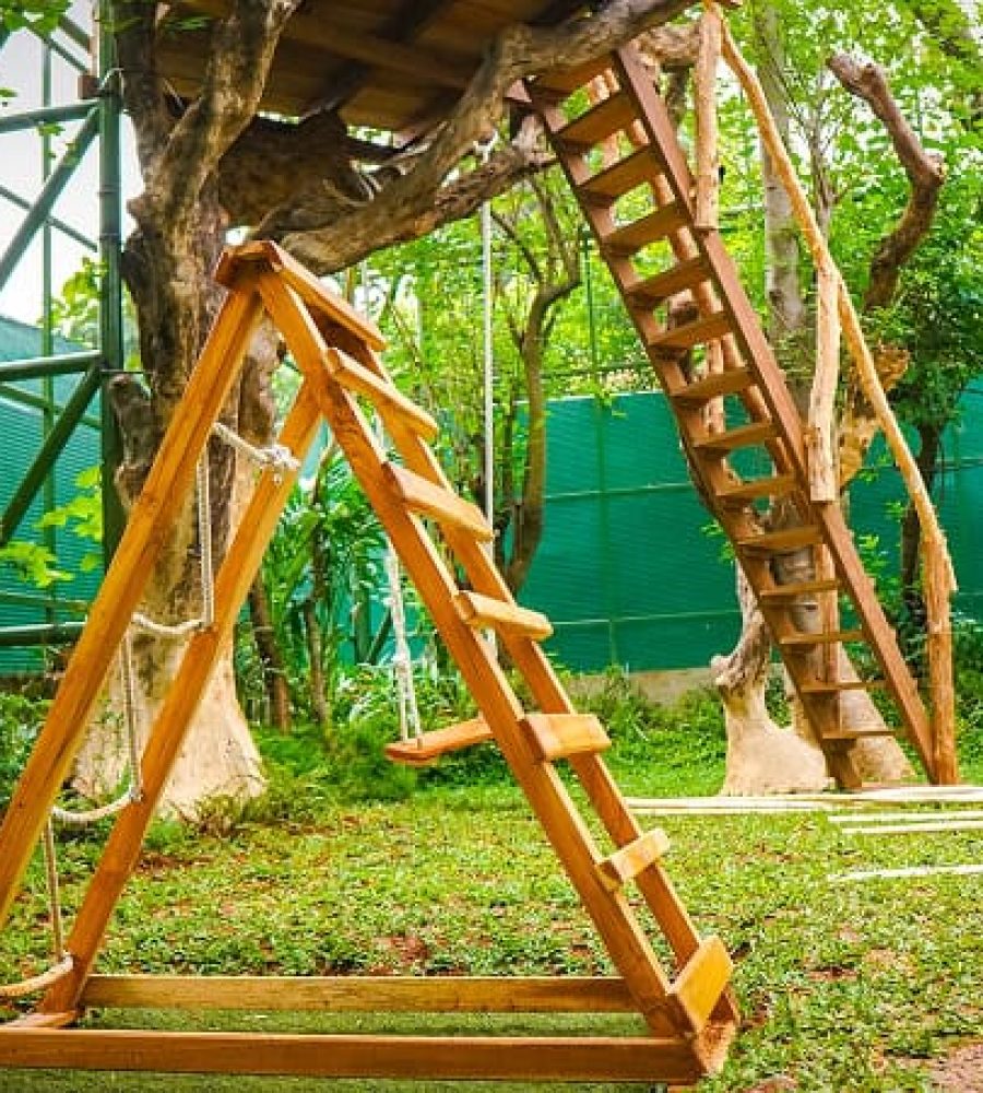 Aviary