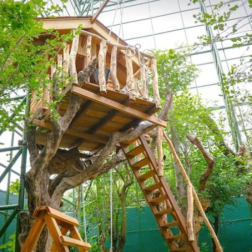 Aviary