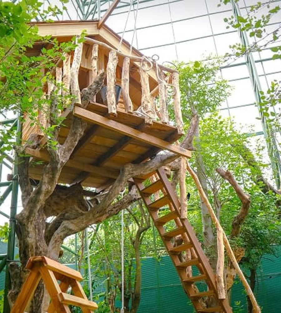 Aviary