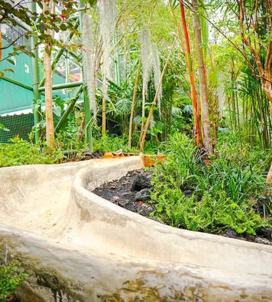 Aviary