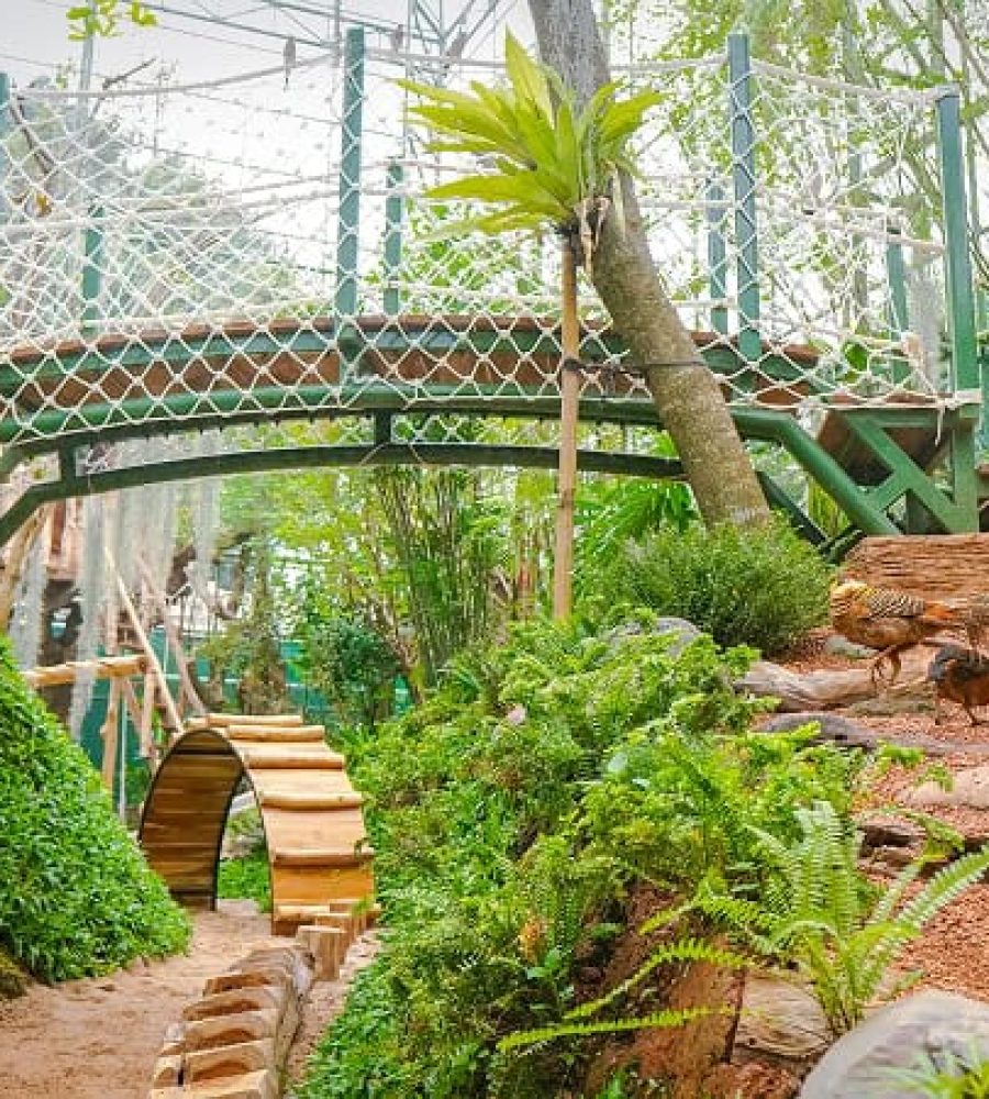 Aviary