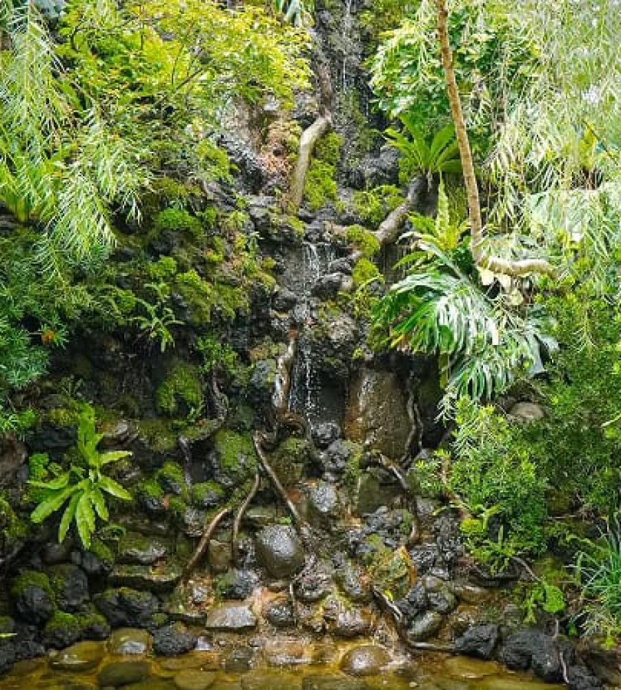 Aviary