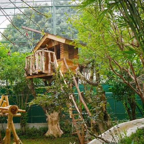 Aviary