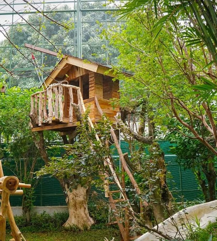 Aviary
